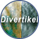 Divertikel